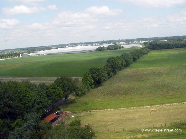 de Gummaruskerk van Steenbergen.