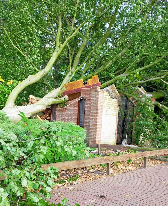 boom valt op kapel lepelstraat
