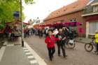 imgp3840_small.jpg