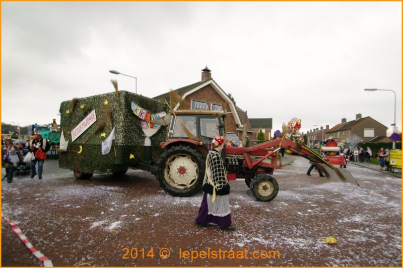 lepelstraatoptocht2014099.jpg