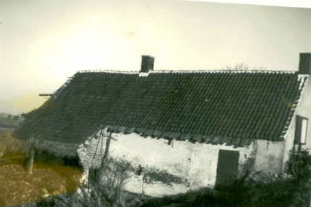 Dijkhuisje van Vriens aan de Rubeerdijk te Lepelstraat