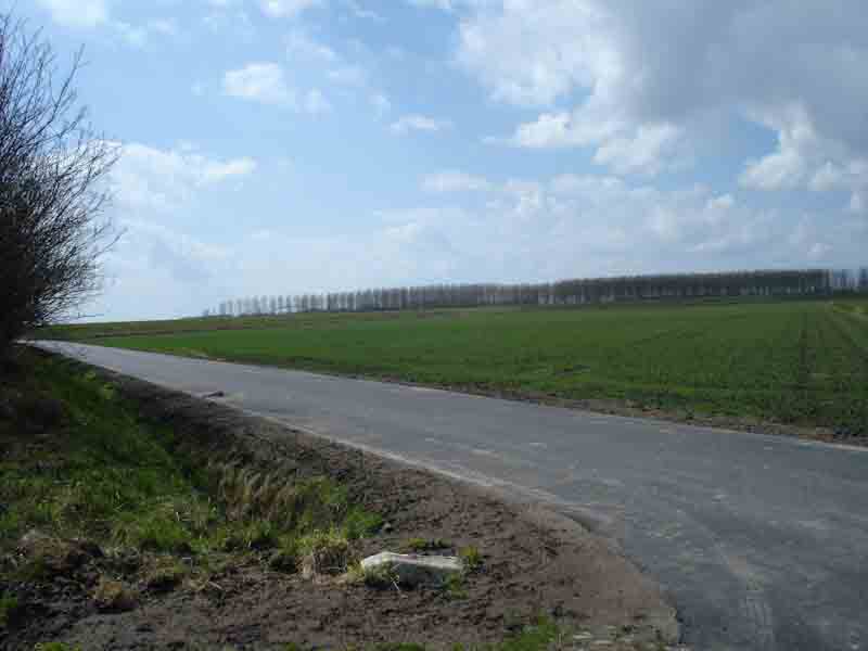 zonnepark Lepelstraat