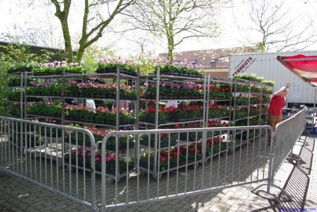 imgp5414kopie.jpg
