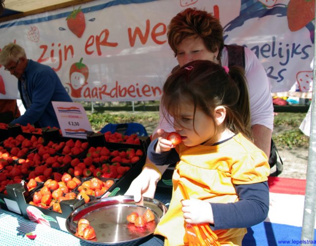 imgp5420kopie.jpg