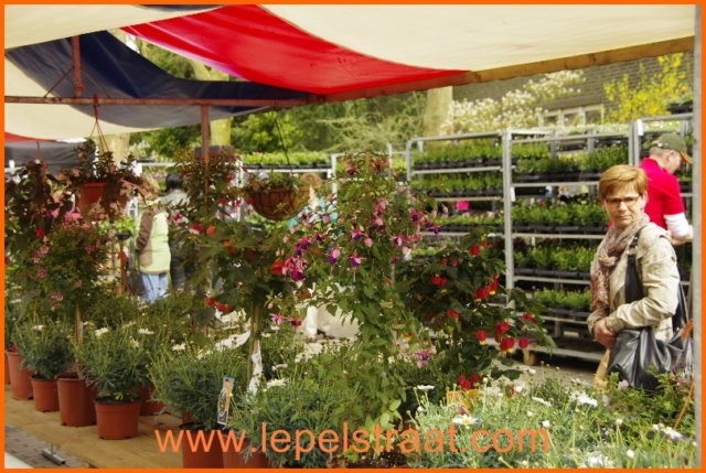 koninginnedag201365.jpg