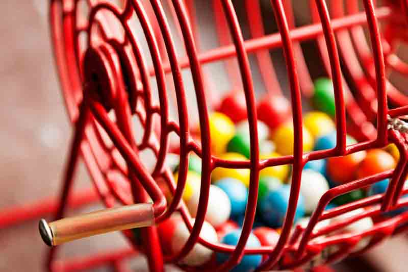 lepelstraat bingo koningsdag 2023