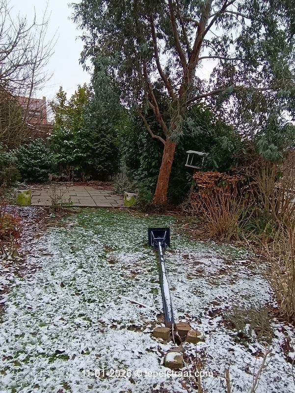 achtertuin door zon woning